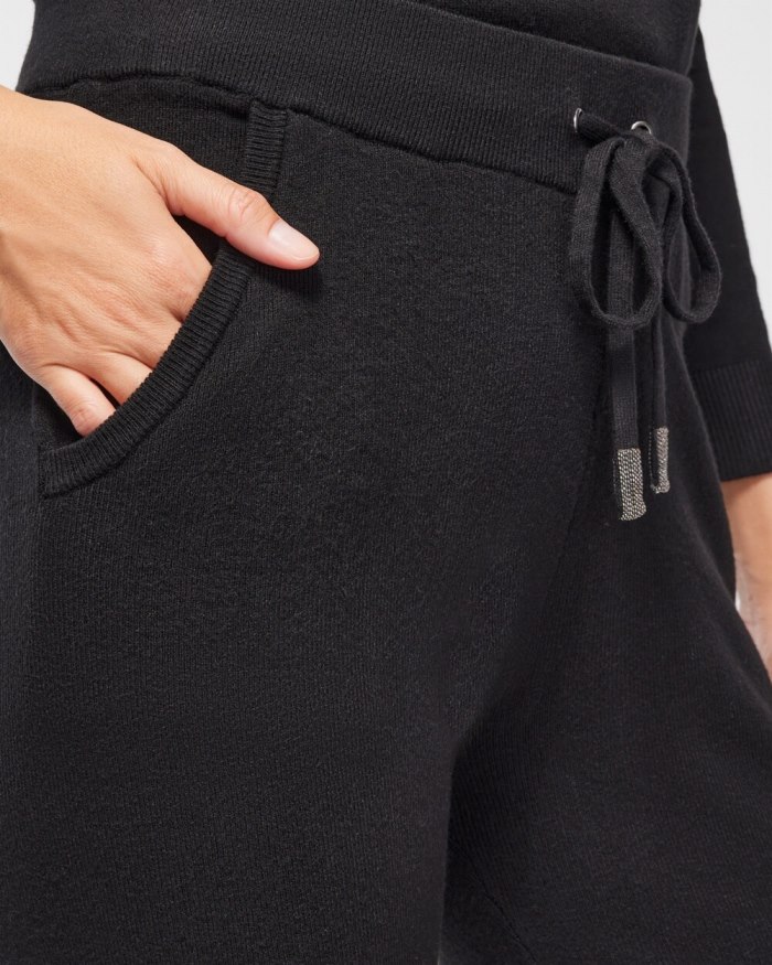 Chicos Zenergy Luxe Cashmere Blend Ankle Pants - Black Chicos Zenergy Luxe Cashmere Blend Ankle Pants - Black